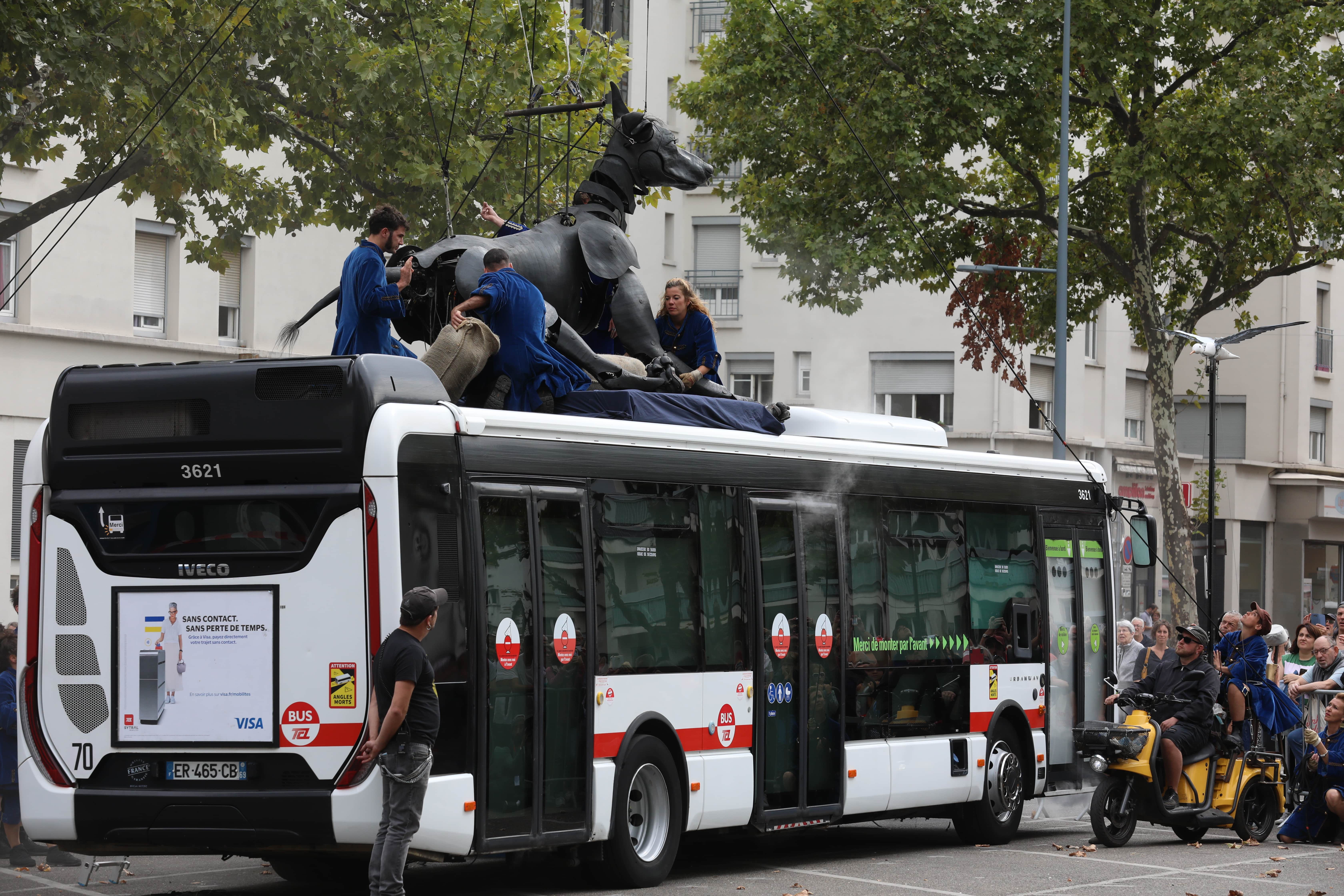 Le Xolo sur son bus