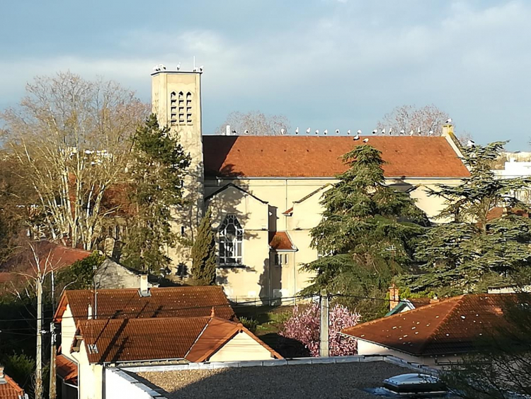Des cigognes sur le toit de l'église de la Sainte-Famille. Des cigognes sur le toit de l'église de la Sainte-Famille.