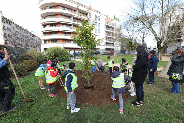 Les enfants des écoles participent à la plantation d’arbres