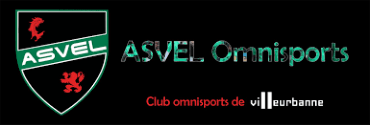 Le Centre de loisirs sportifs et éducatifs de l'ASVEL Omnisports