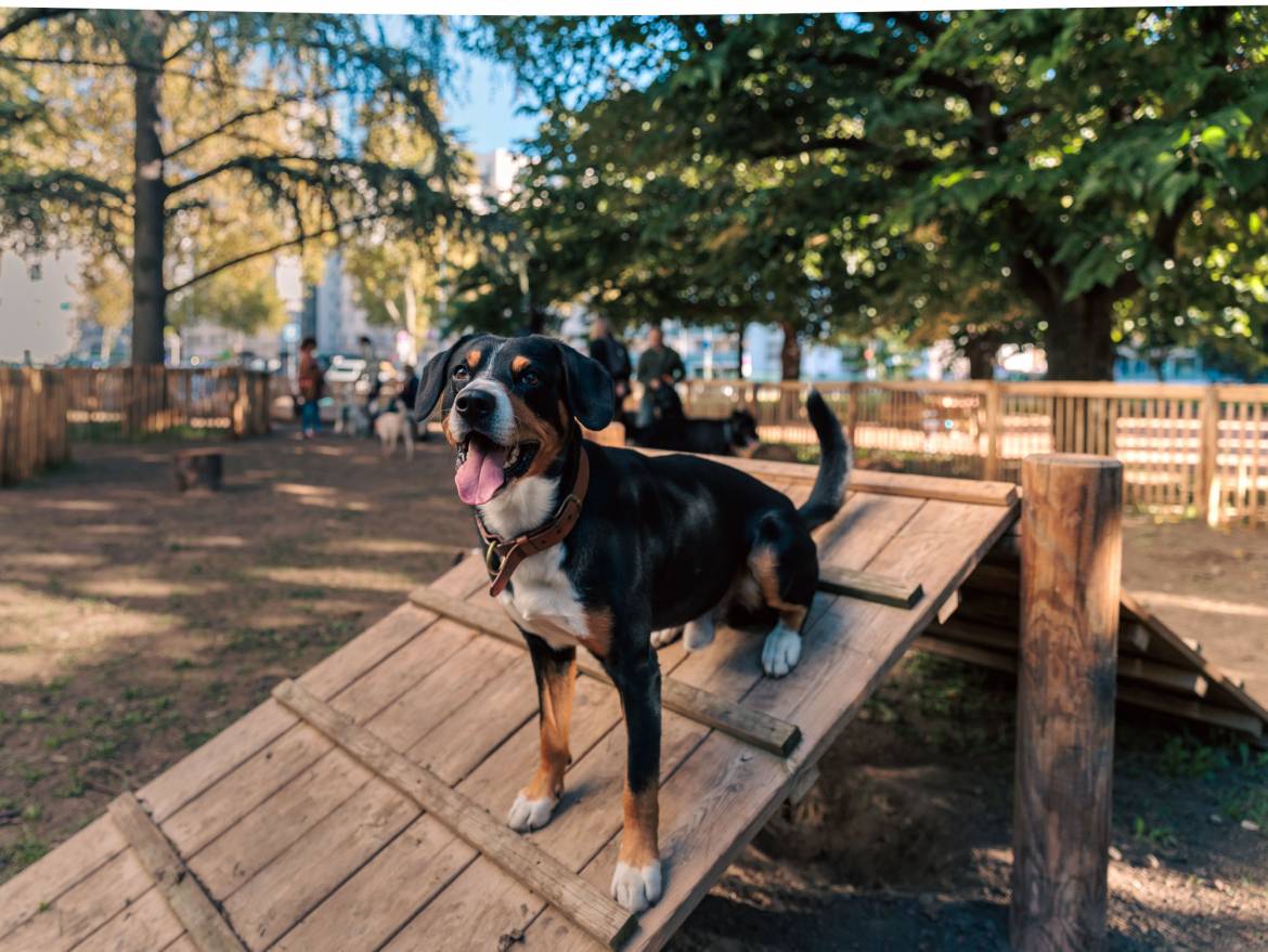 Une partie est équipée d'agrès.