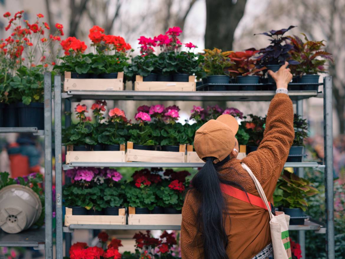 Marché aux plantes sur l'avenue Henri-Barbusse, Côté Jardins 2025
