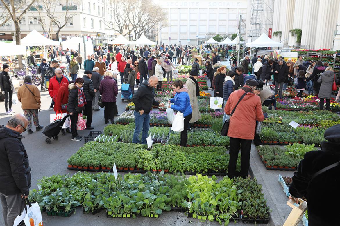 Un air de printemps sur l’avenue Henri-Barbusse Un air de printemps sur l’avenue Henri-Barbusse