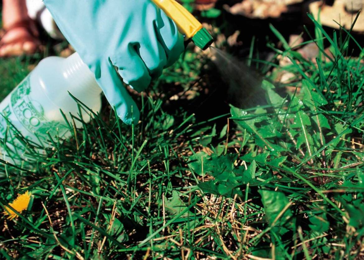 Pesticides : Villeurbanne dit non