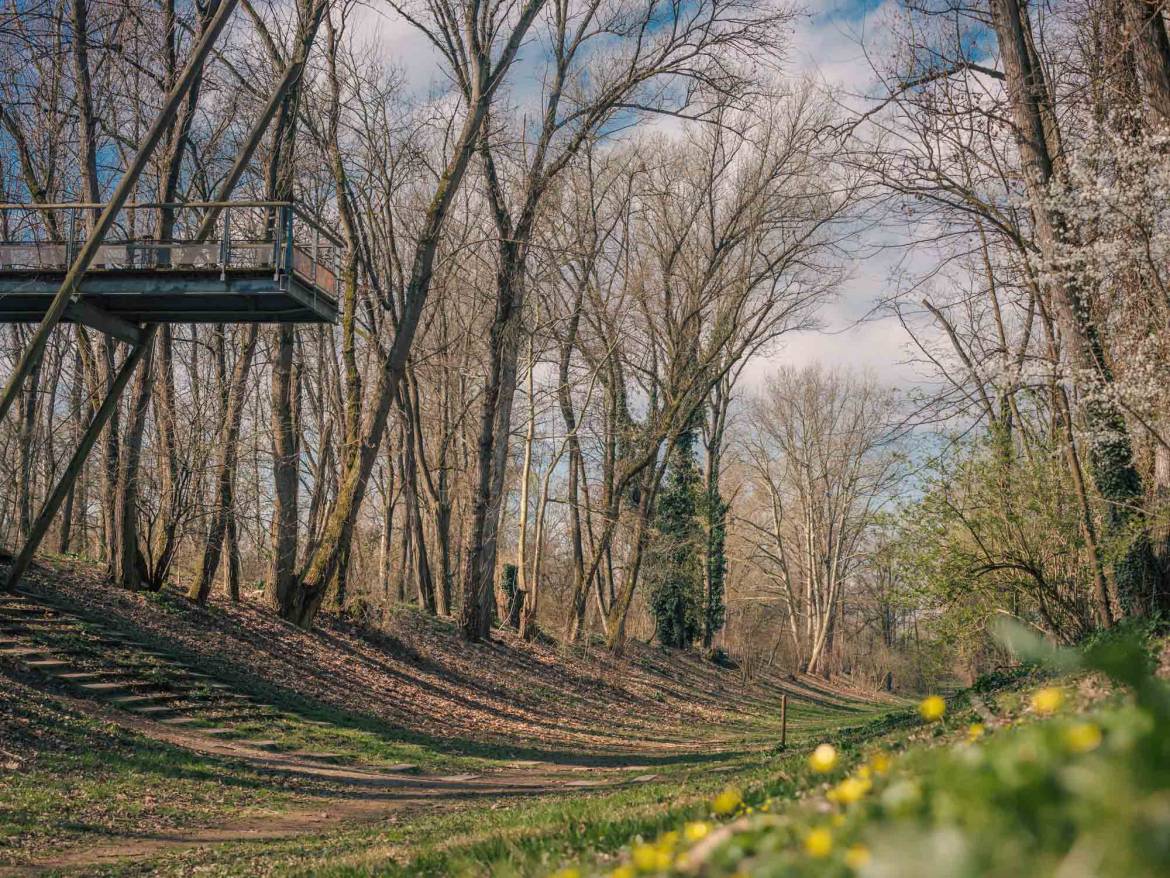 diapason en herbe de la Feyssine