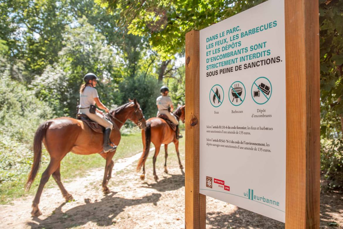 La brigade parcourt tout le parc.