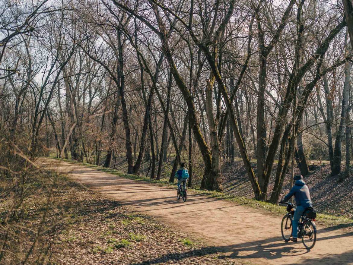 Du 2 au 6 mars, les jardiniers de la Ville ont remis en &eacute;tat le diapason en eau de la Feyssine