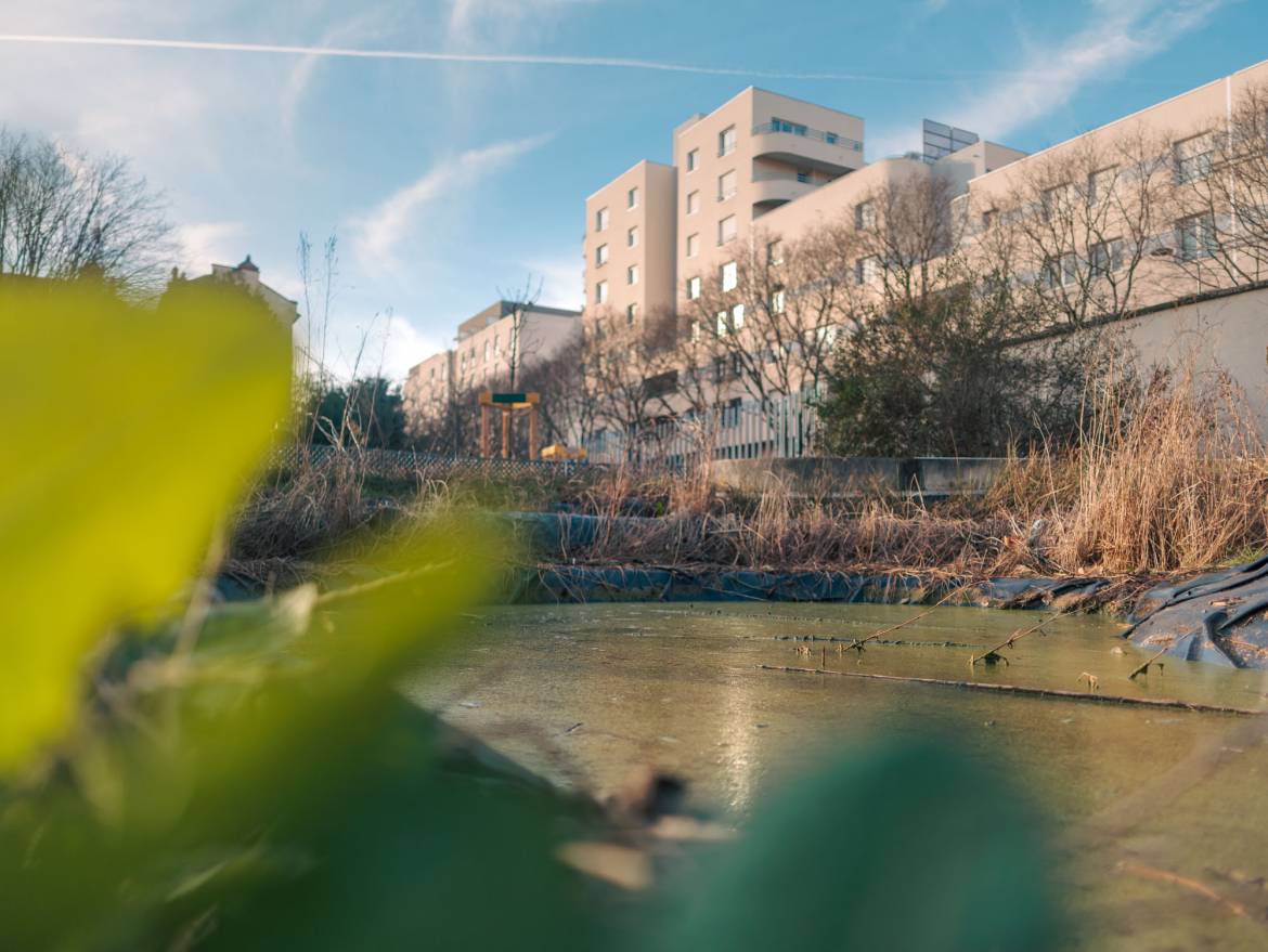 mare du parc édouard glissant