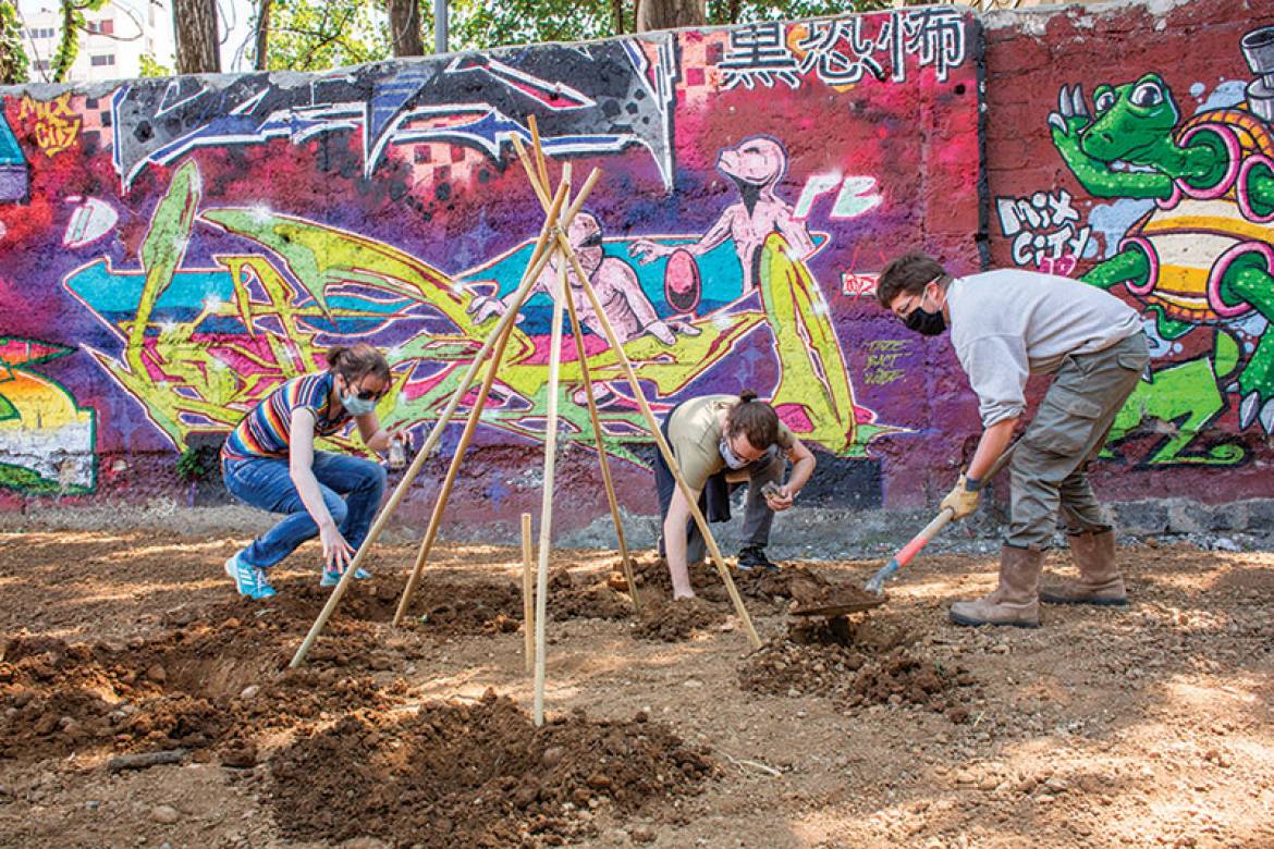 Premiers semis d’agriculture urbaine