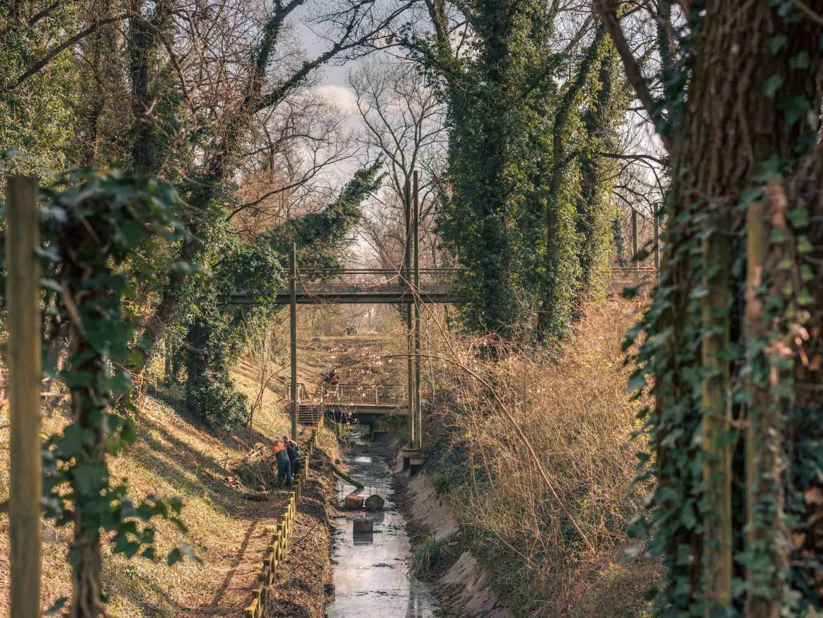 Du 2 au 6 mars, les jardiniers de la Ville ont remis en &eacute;tat le diapason en eau de la Feyssine