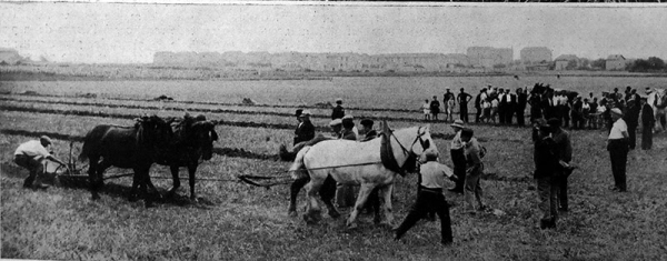 Concours de labour lors des comices agricoles de 1939.