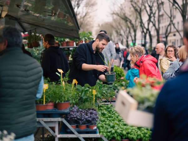 march&eacute; aux plantes c&ocirc;t&eacute; jardins 2025