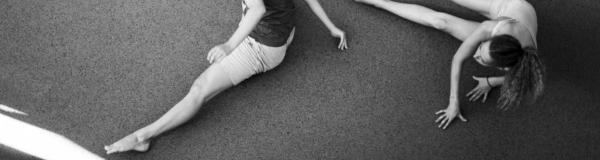 DANSE