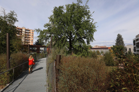 On vote pour le parc Hugentobler ! On vote pour le parc Hugentobler !