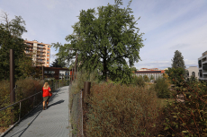 On vote pour le parc Hugentobler ! On vote pour le parc Hugentobler !
